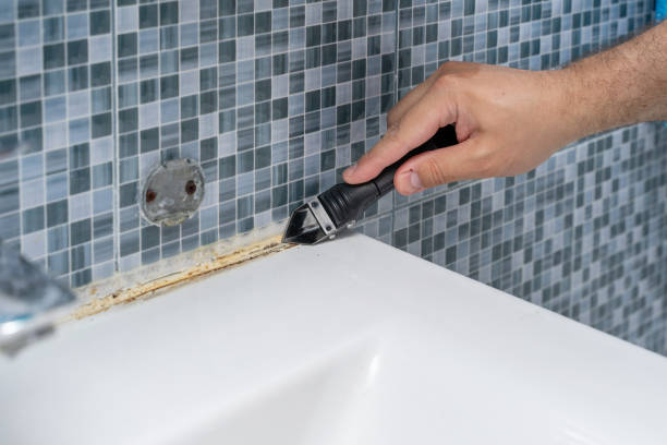 Best Black Mold Remediation in Rosendale, WI